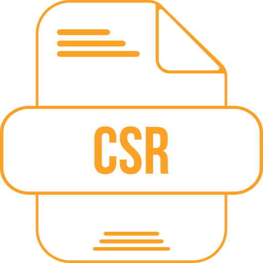 csr-bestand Generic color outline icoon
