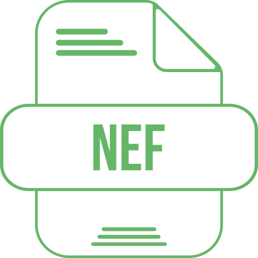 nef Generic color outline icon