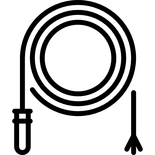 látigo Special Lineal icono