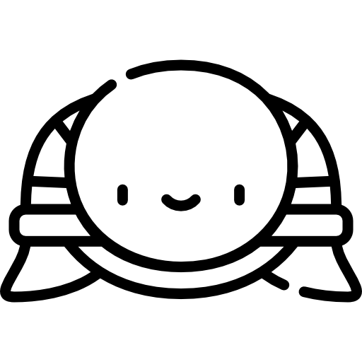 schildkröte Kawaii Lineal icon