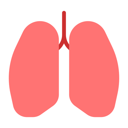 płuco Generic color fill ikona