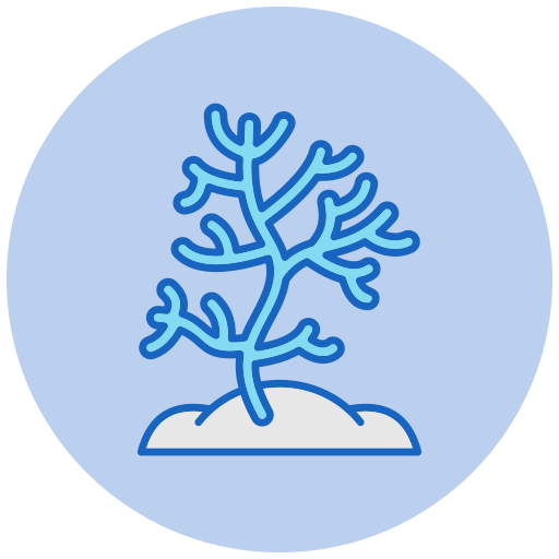 Coral Generic color lineal-color icon