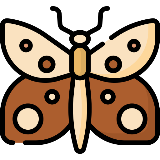Бабочка Special Lineal color иконка