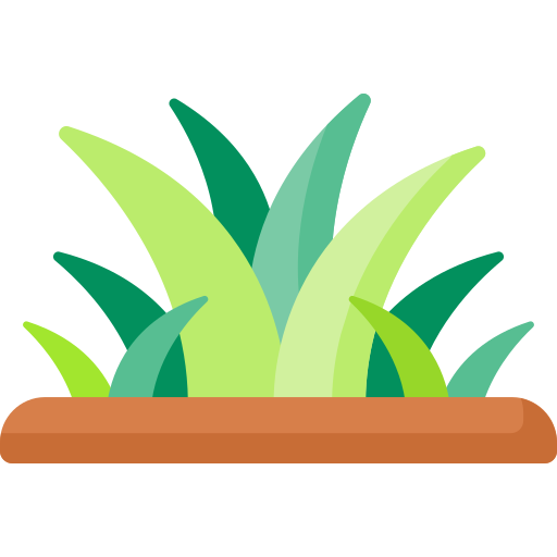 gras Special Flat icon