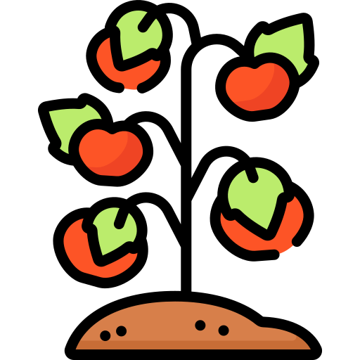 pomodoro Special Lineal color icona