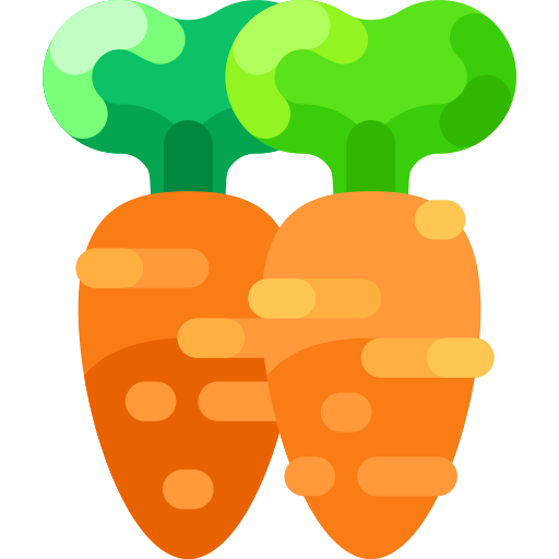 Морковь Special Shine Flat иконка
