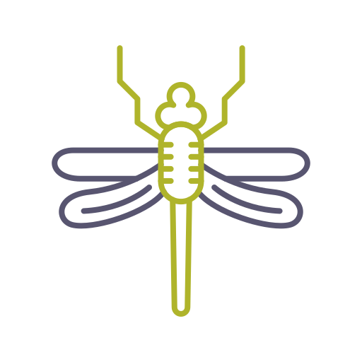 Dragon fly Generic color outline icon