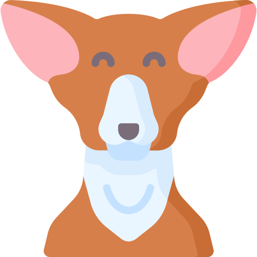 chihuahua Special Flat icon