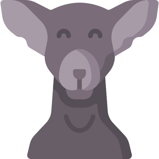 Greyhound Special Flat icon