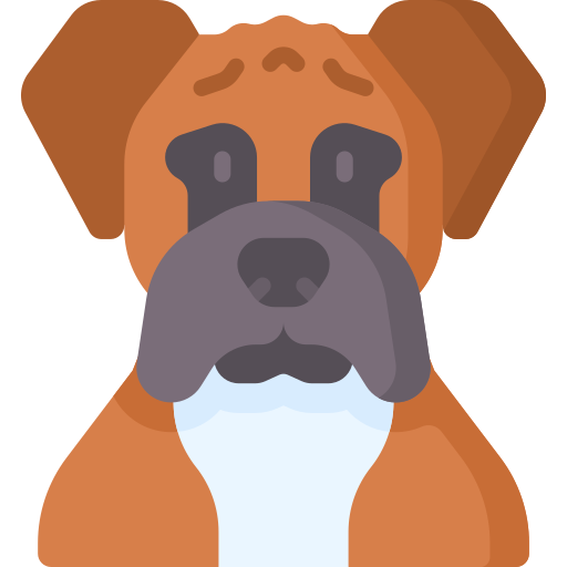 Boxer Special Flat icon