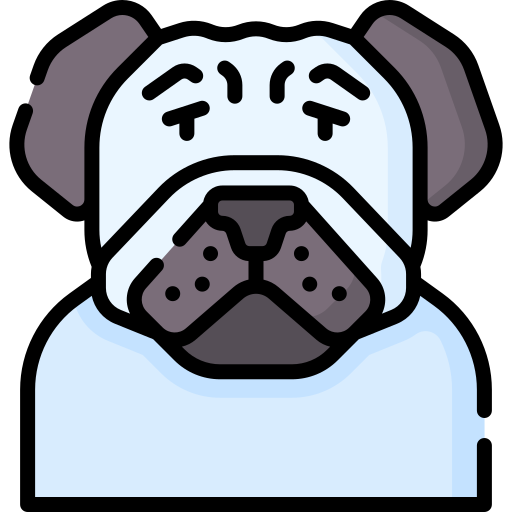 Pug Special Lineal color icon