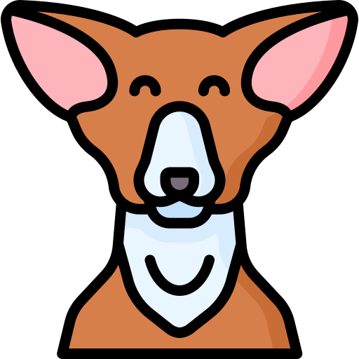 Chihuahua Special Lineal color icon
