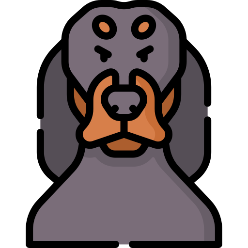 coonhound Special Lineal color icono