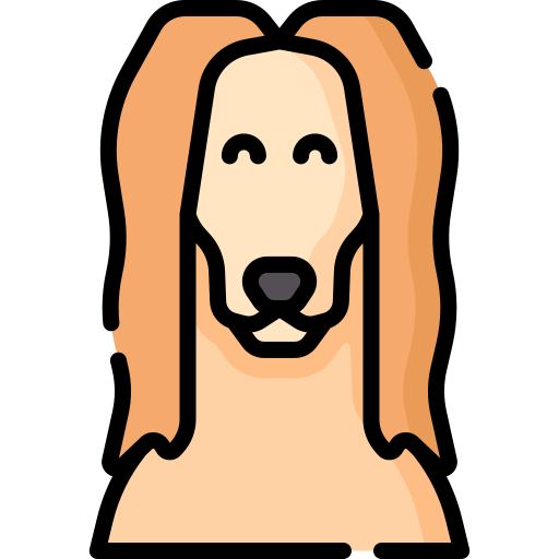 afghanischer hund Special Lineal color icon