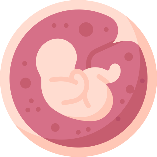 placenta Special Flat icona