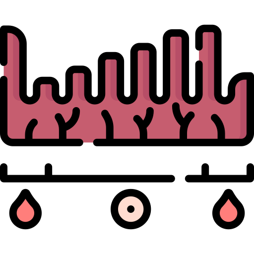 endometrium Special Lineal color icoon