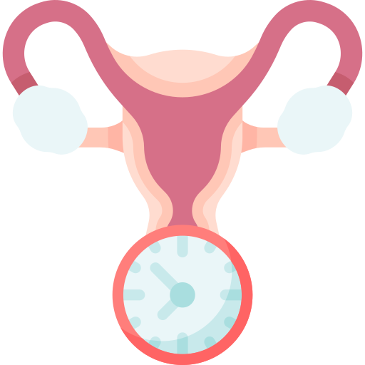 Menopausia Special Flat icono
