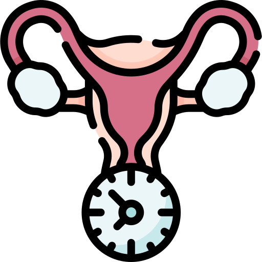 menopause Special Lineal color icon