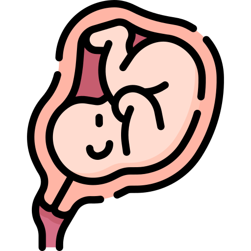 胎児 Special Lineal color icon