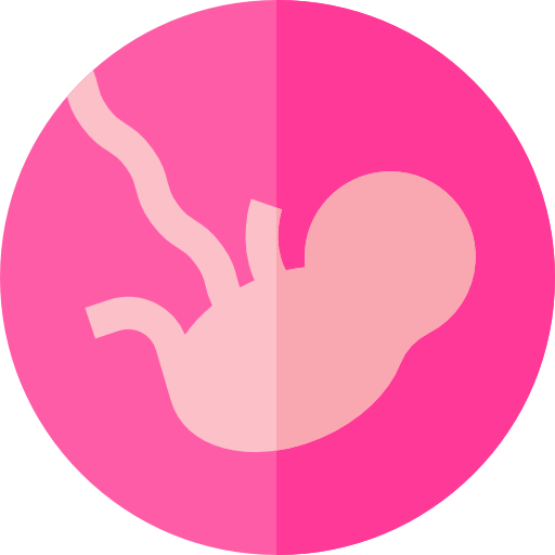 Fetus Basic Straight Flat icon