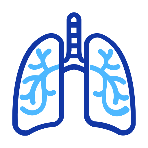 pulmones Generic color outline icono