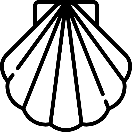 cáscara Special Lineal icono
