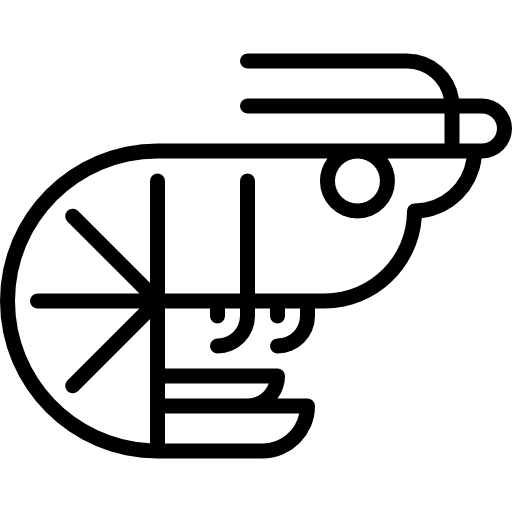camarón Special Lineal icono