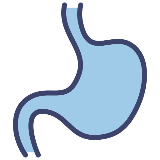 Stomach Generic color lineal-color icon