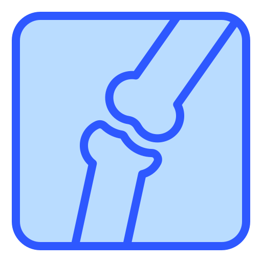 Bone Generic color lineal-color icon