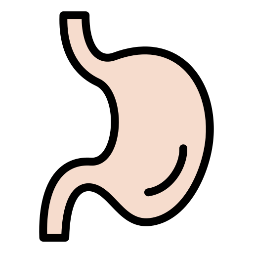 bauch Generic color lineal-color icon