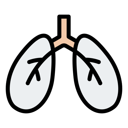 Lungs Generic color lineal-color icon