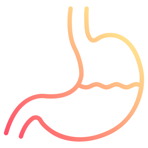 Stomach Generic gradient outline icon