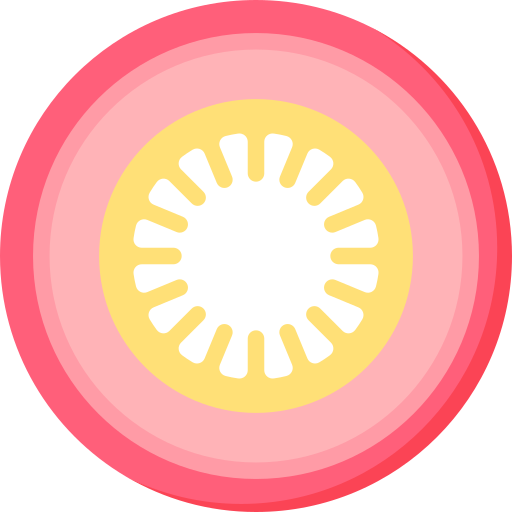 Cross section Special Flat icon
