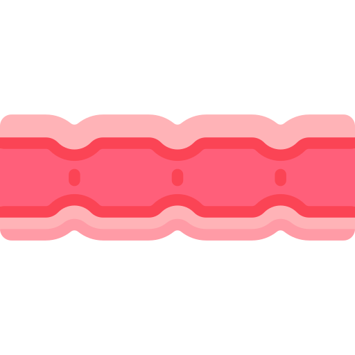 Large Intestine Special Flat icon