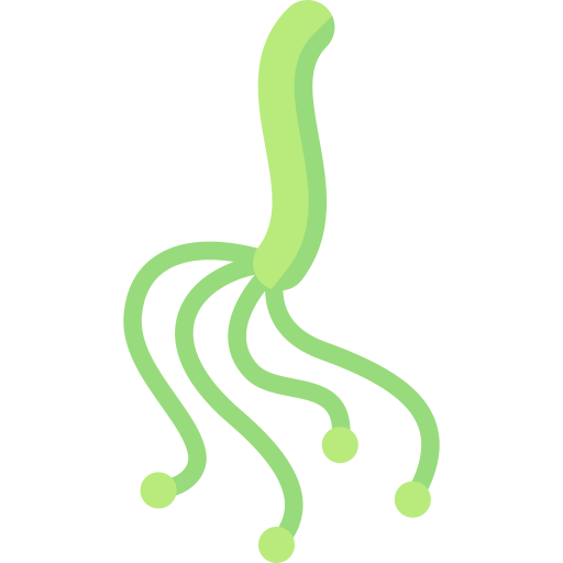 Helicobacter pylori Special Flat icon