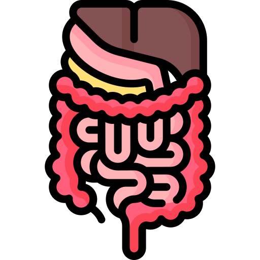 Gastrointestinal tract Special Lineal color icon