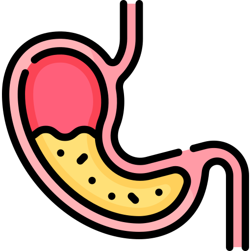 Stomach Special Lineal color icon