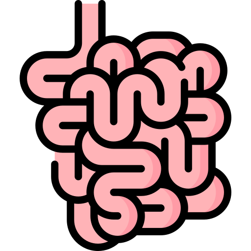 Small Intestine Special Lineal color icon