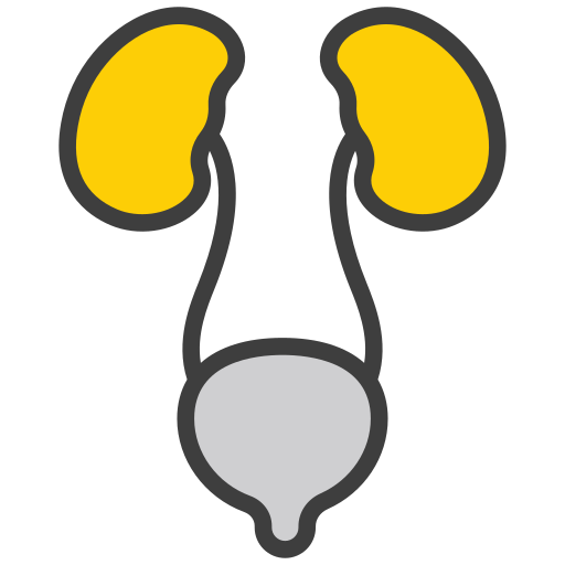 riñón Generic color lineal-color icono