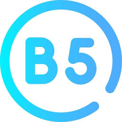 b5 Super Basic Omission Gradient icoon