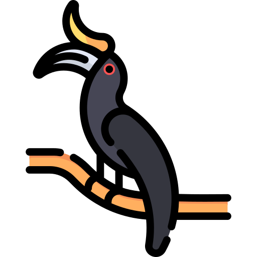 Hornbill Special Lineal color icon