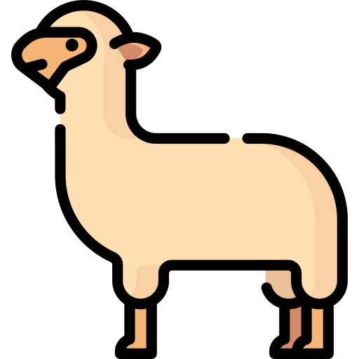 ovelha Special Lineal color Ícone