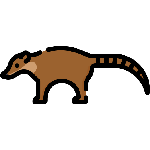 coati Special Lineal color icona