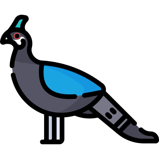 Pheasant Special Lineal color icon