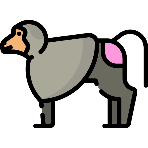 babuino Special Lineal color icono