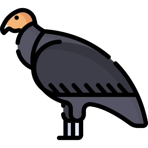 condor Special Lineal color icoon