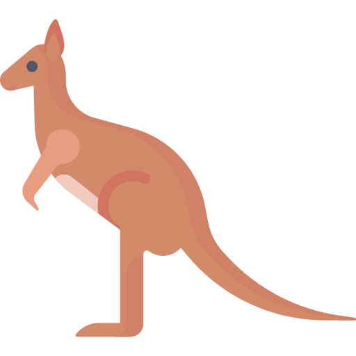 känguru Special Flat icon