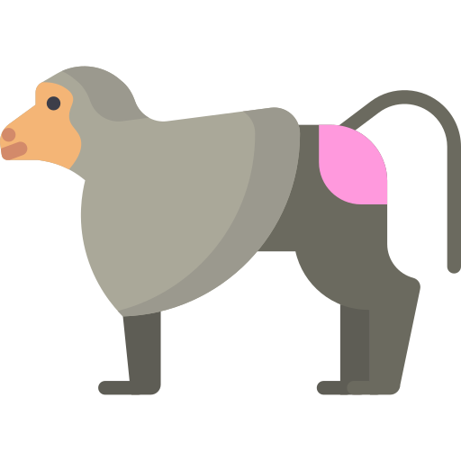 Baboon Special Flat icon