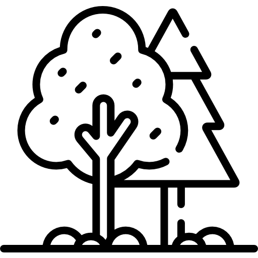 Árbol Special Lineal icono