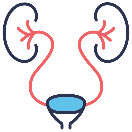 Kidney Vectors Tank Two colors icon